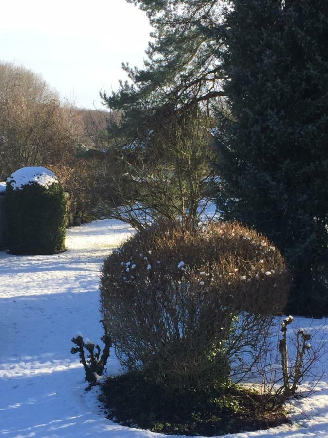 Moigny La Ferme Des Ruelles Bed & Breakfast エクステリア 写真