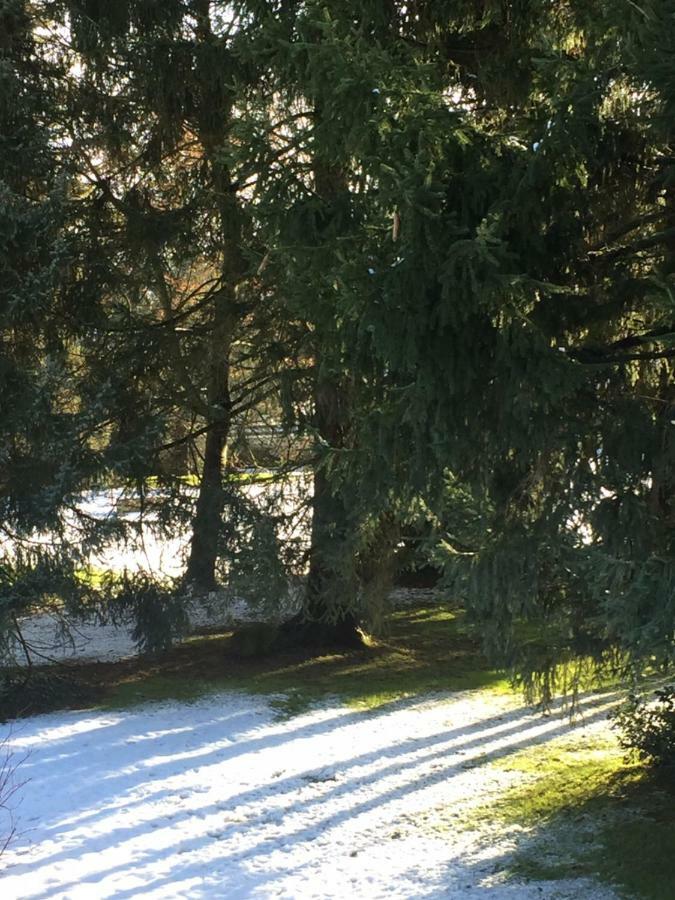 Moigny La Ferme Des Ruelles Bed & Breakfast エクステリア 写真